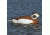 Greenhead Gear Commercial Grade Long-Tailed Ducks Foam Filled,1/2 Dozen 74027