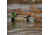 Greenhead Gear Over-Size Duck Decoy,Mallards,1/2 Dozen 73013