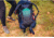 Gregory Amber 68L Backpack, Arctic Navy, 149387-A268