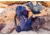 Gregory Baltoro 65L Pack, Alaska Blue, Medium, 141300-1002