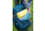 Gregory Deva 60L Backpack - Womens