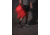 Gregory Kiro 24L Daypack - Mens, Lava Red, One Size, 153036-4222