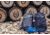 Gregory Rhune 28L Pack, Carbon Black, One Size, 150945-6404