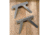 Grizzly Industrial Multi-jaw Rotating Bench Vise T27893