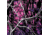 GunSkins Glock 19 Pistol Skin Premium Vinyl Wrap, Muddy Girl, CU-98059-GLOCK19-MDGL