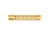 Guntec USA MOD LITE Skeletonized Series M-LOK Free Floating Handguard With Monolithic Top Rai, Anodized Gold, 12in, GT-12MDLTE-GOLD