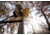 Hawk Treestands Big Denali 2-Man Tree Stand, HWK-HL2062