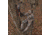 Hawk Treestands Helium Kickback LVL Hang-On Tree Stand, HWK-HF2033