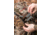 Hawk Tactical Trio Hybrid Tree Hook, Gray, HWK-HA3012