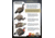 Higdon Outdoors Hard Body Feeder Hen Turkey Decoy, 63122