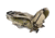 Horn Hunter Full Curl Frame Backpack, Stone, HH1300ST