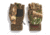 Hot Shot Bulls-Eye Mitten
