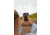 Kite Optics Stabi-One Stabilized Monocular, 10x20mm, Black, K280598