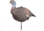 Knight &amp; Hale Knight and Hale Pretty Girl Lookout Hen Decoy