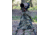 LensCoat LensTote Tripod Carrying System, Real Tree Max 4, LCLTM4
