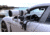 Leofoto WN-03 Car Window Stabilizer, Black, WN-03