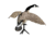 Lucky Duck Lucky Flapper Canada Goose Decoy, 21-10014-1