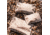 Magpul Industries DAKA Lite Pouch, Flat Dark Earth, Medium, MAG1244-245