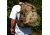 Maxpedition TacTile Pocket - Small