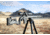 MDT Remington Model 783 Short Action XRS Chassis System, Black, Right Hand, 104688-BLK