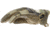 Mechanix Wear M-Pact Tactical Gloves - Mens, Multicam, Small, MPT-78-008
