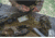 Mechanix Wear Original Work Gloves - Mens, Multicam, Small, MG-78-008