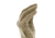 Mechanix Wear TAA Specialty Vent Gloves - Mens, Coyote, Medium, MSV-F72-009