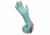 Microflex NeoPro Powder-Free Chloroprene Gloves, Microflex NPG-888-L