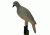 Mojo Clip on Dove Set of 4 80420