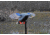 Mojo Elite Series Mini Mallard Drake Decoy HW24703P