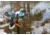 Mojo Elite Series Spoonzilla Mallard Drake Decoy
