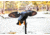 Mojo Gadwall Decoy, Elite Series, HW2473