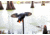 Mojo Gadwall Decoy, Elite Series, HW2473
