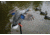 Mojo King Mallard Drakes Decoy, HW2520