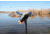 Mojo Mini Mallard Drake Decoy, Elite Series HW2470