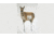 Montana Decoy Co. Antelope Decoy Combo