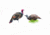 Montana Decoy Co. Jake and Miss PurrFect Pair XD Turkey Combo, QW0086