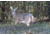 Montana Decoy Co. Trixie Whitetail Doe Decoy, Brown, 53