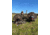 Montana Decoy Co. Wiley Tom 3D Turkey Decoy