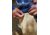 Mountain Khakis All Mountain Pant Classic Fit - Mens, Yellowstone, 31x30, O49256YELLOWSTONE3130