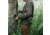 Muddy DV8 Ambush Lightweight Long Sleeve Shirt