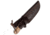 Muela Bison Fixed Blade Olive, MU008