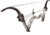 Muzzy VXM Bowfishing Bow