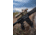 NightForce NX8 1-8x24mm Capped Rifle Scope, 30mm Tube, First Focal Plane, FC-MOA Reticle, Dark Earth, C691