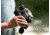 Nikon M5 10 x 42 Roof Prism Binoculars, Black, 16768