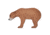 Oncore Targets Cinnamon Bear Archery Target, Brown, Medium, B8