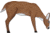 Oncore Targets Feeding Deer Self-Healing Archery Target, Small, Brown, White, D4A