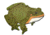 Oncore Targets Targets Frog Self-Healing Archery Target, Mini, Green, Small, FG2