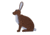 Oncore Targets Rabbit Self-Healing Archery Target, Facing Left, Brown/White, Small, R3