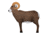 Oncore Targets Ram Self-Healing Archery Target, Brown/White/Yellow, Medium, RH1